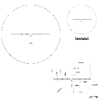 MTR-5 IL