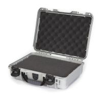 Nanuk 910 Case