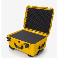 Nanuk 950 Case 