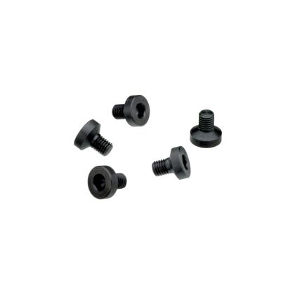 Contessa Set of 4 Rail Screws