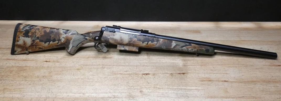 Savage Model 210 in 12ga