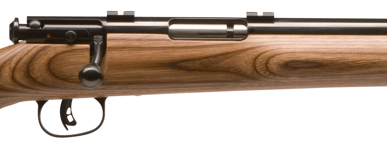 The receiver of Savage 40 Varmint Hunter which comes with pre-installed Weaver bases 