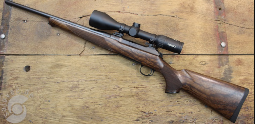 Sauer 101