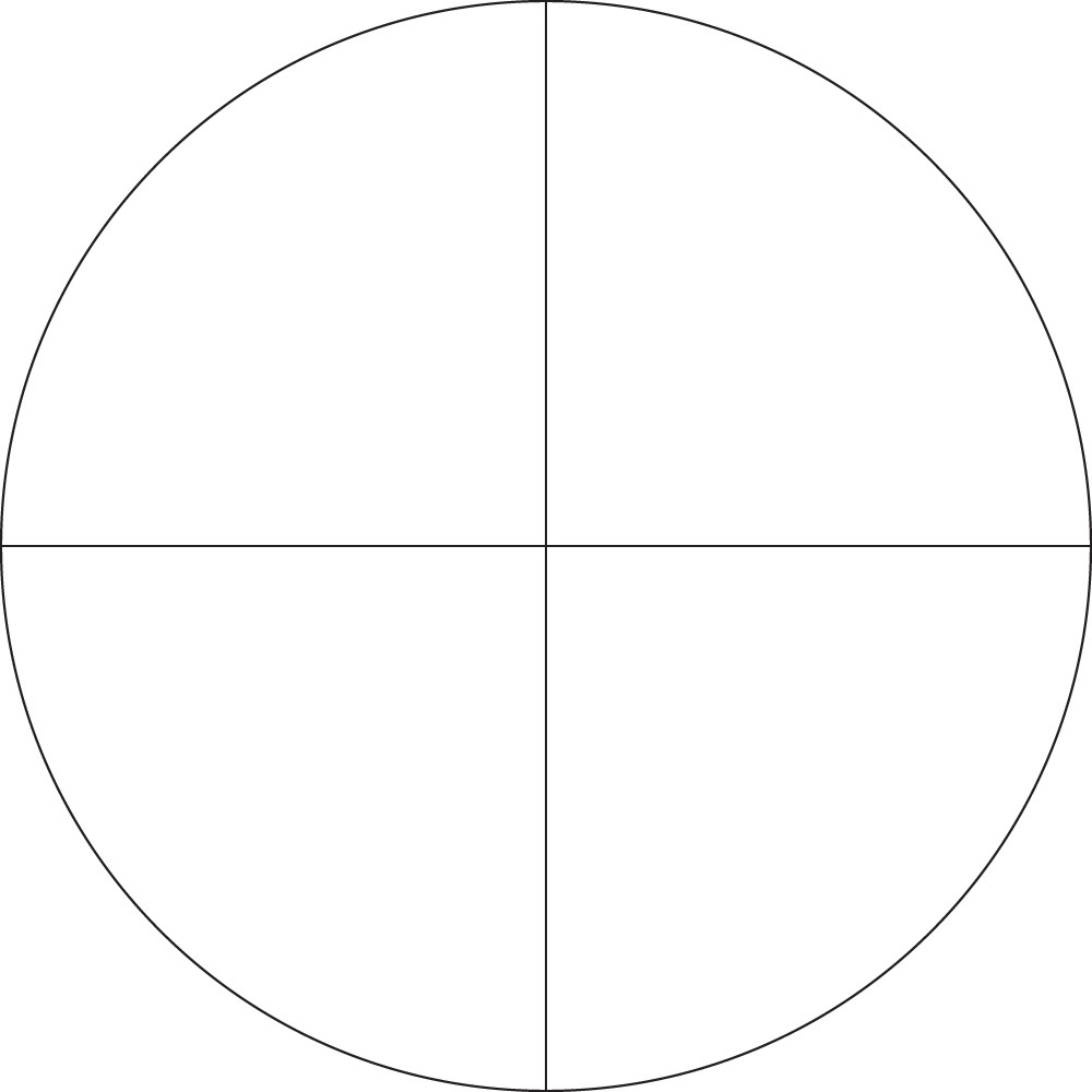 Vortex riflescope SCR-1 reticle - rifle